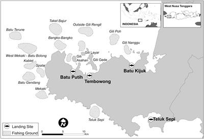 Catch Composition and Selectivity of Fishing Gears in a Multi-Species Indonesian Coral Reef Fishery